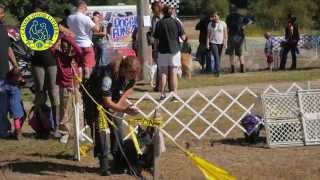 AKC Canine Good Citizen Test7: Coming when called