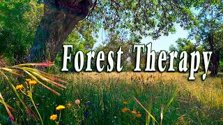 Healing Frequency Forest Therapy 🌳🌞 Begin Your Day with POSITIVE MORNING VIBRATIONS 🌳 Nature Sounds