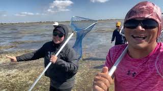 Crabbing at Thompson Beach