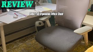 SIDIZ T50 Ergonomic Office Chair Demo \u0026 Review 2024 - Is It Worth It?