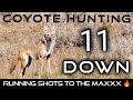 Ultimate Coyote Hunting | 11 Down | Epic Running Shots  | Hard Charging Action | New 2024