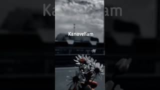 Kanavellam  Ninaivagi Nee Aanathe Songs lyrics Tamil #Kanavellam #jeevithamusical #trendingsong