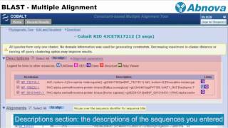 BLAST - Multiple Alignment