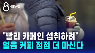 '얼죽아' 반짝인 줄 알았는데…얼음 커피 점점 더 마신다 / SBS 8뉴스