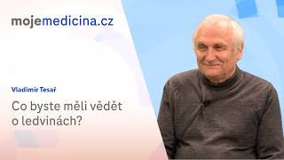 Co byste měli vědět o ledvinách? | Vladimír Tesař | Moje medicína TV