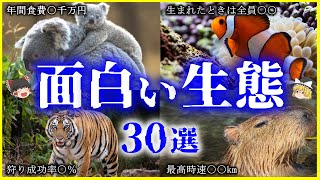 【ゆっくり解説】ヤバいぐらい「面白い生態」の「生き物」たち30選を解説