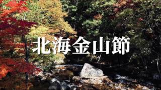 北海金山節（藤原加代子）北海道民謡