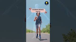 Human Bones Facts #shorts #humanbones #factsvideo