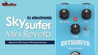 [EffectorTimes 735회] TC Electronic 이펙터 Skysurfer Mini Reverb