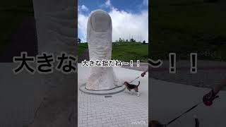 美ヶ原高原美術館で芸術品鑑賞をするビーグル犬ケンシロウ#子犬のいる生活#ビーグル犬#癒し#犬#dog