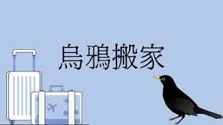 睡前故事＜烏鴉搬家＞增加【閱讀理解力、專注力、創造力、品格】