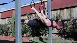 Full Back Lever Hold on Rings