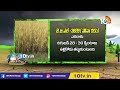 ఖరీఫ్‌కు అనువైన జగిత్యాల వరి రకాలు paddy varieties suitable for kharif season matti manishi