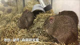 理学部　生物学科紹介