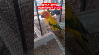 ഇവൾ എന്തു സുന്ദരിയാണ് | Popular Pet Farm #shortsfeed #shortvideo