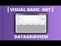 Visual Basic/ VB.Net Tutorial: How To Use DataGridView