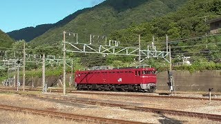 2019年9月14日　上越国境の山峡に汽笛を響かせて 電気機関車EF81 134 単機 返却回送　JR上越線 水上駅