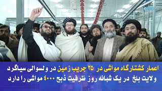 اعمار کشتارگاه مواشی در زیربنای ۲۵ جریب زمین در ولسوالی سیاگرد ولایت بلخ