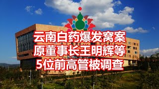 云南白药爆发窝案 原董事长王明辉等 5位前高管被调查