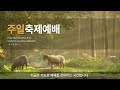 ​​​​​​​2025년 01월 19일 주일2부 축제예배 스트리밍