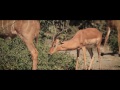 Namibia & Botswana Zambezi Queen South Africa