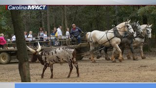 Carolina Impact, Season 7: Episode 11 - Lazy 5 Ranch