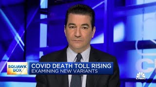 Fall 2021 could look like a new normal: Former FDA chief Scott Gottlieb