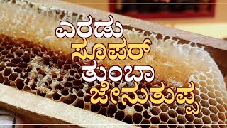 Finally ll ಅಬ್ಬಾ ಸೂಪರ್ ಫುಲ್ ಜೇನುತುಪ್ಪ ಸಿಕ್ತು !! Super complete honey ll 🎊🎊🎊