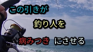 【釣り】　高知　『サーフ釣り』　※この引きがあるから、サーフに通う