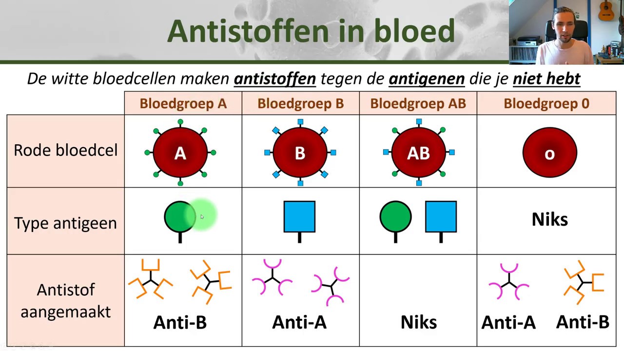 Bio - Bloedgroepen En Bloedtransfusie - Gezondheid #10 - YouTube