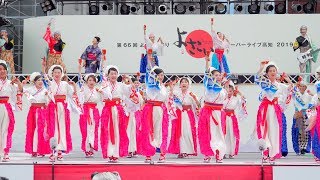 [4K] 駿河リゾート　高知よさこい祭り 2019 全国大会 (中央)