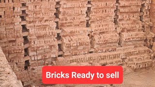 Bricks in Hawa bhatta of West Bengal. Bricks manufacturing final process. Zigzag Bhatta.