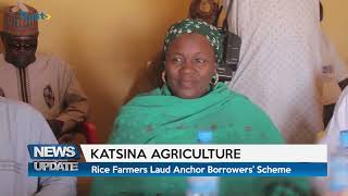 KATSINA AGRICULTURE: Rice Farmers Laud Anchor Borrowers' Scheme | TRUST TV