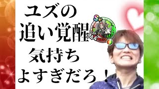 この分野において最強のアカウントなのかもしれません【ドラクエウォーク】【ドラゴンクエストウォーク】