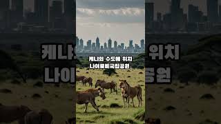 한국사람이 가기 좋은 케냐 여행지 TOP 5 #shorts #여행 #travel #케냐 #kenya #한국인 #korean #해외여행 #지식 #이슈 #아프리카 #africa