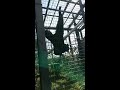 東山動物園 さる うるさい ヤンキー おっさん