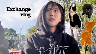 교환 vlog) 중국 유학생들과 바베큐 파티하다 생긴 일..