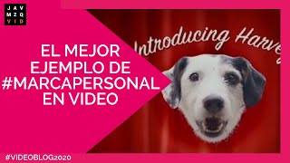 ✅El MEJOR EJEMPLO de #Marcapersonal en video - #videobranding