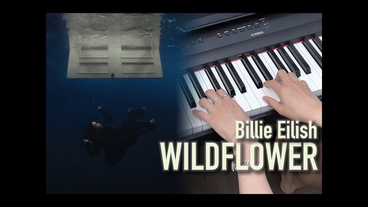 Piano Chords Wildflower Billie Eilish Chords Chordify