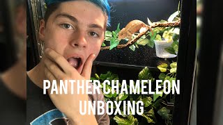 Panther Chameleon Unboxing and Setup