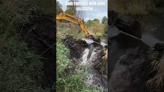 Beaver Dam Removal With Mini Excavator! #beaverdam #flashflood #outdoors #drain #excavator