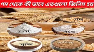 একই গম থেকে তৈরি হয় আটা ,ময়দা , ডালিয়া আর সুজি !! Wheat, Flour, Dalya, Suji,Semolina !!Mayajaal !!