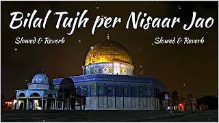 Bilal Tujh per Nisaar Jao || Slowed and Reverb #ghulammustafaqadrinaat #ghulammustafaqadri #lofi