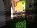 CHRISTMAS JOURNAL/SCRAPBOOKING/AMATULLAH JAMALI