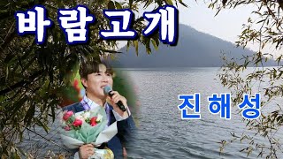 진해성//바람고개[트롯전국체전] 작사작곡 진해성