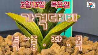 2월13일ㆍ목요일ㆍ 놀라운 가격 대비~ 특ㆍ급ㆍ종ㆍ자ㆍ목 ㆍㆍㆍ후회없는  선택   [4K]