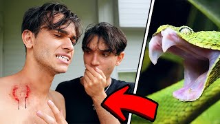 A Snake ATTACKED Me!