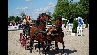 Gałkowo Masters 2019