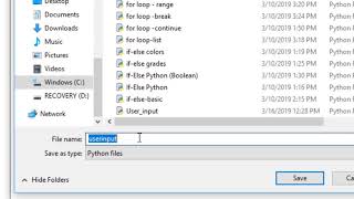 Python Tutorial 7: User input