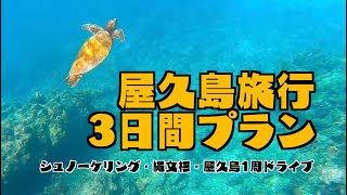 屋久島旅行3日間モデルコース